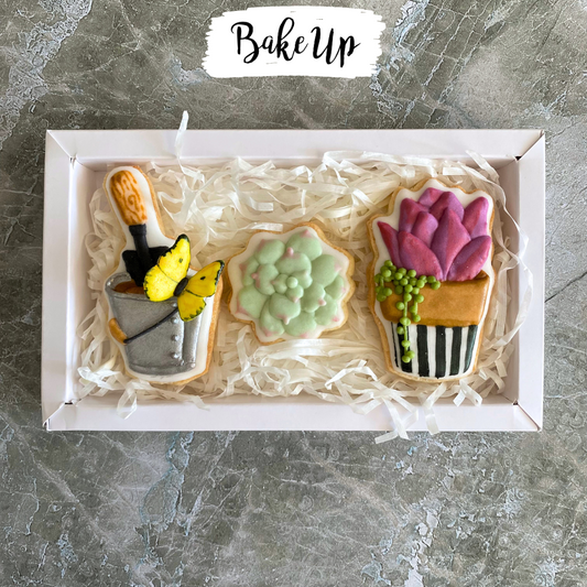 Bake Box Día de las Madres S